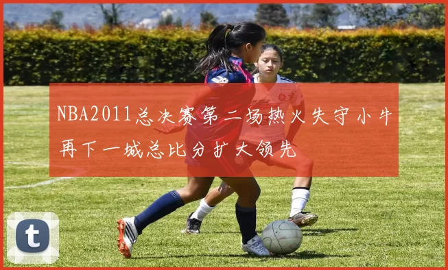 NBA2011总决赛第二场热火失守小牛再下一城总比分扩大领先