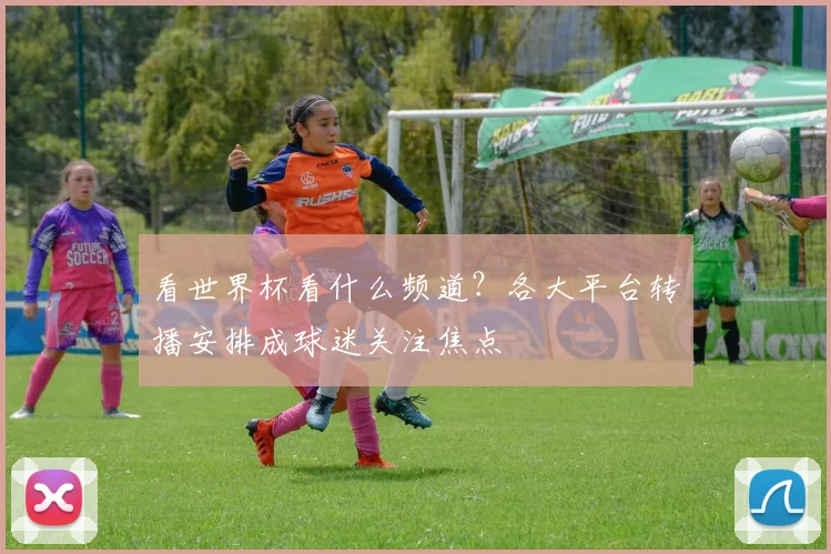 看世界杯看什么频道？各大平台转播安排成球迷关注焦点