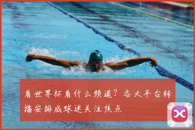 看世界杯看什么频道?各大平台转播安排成球迷关注焦点
